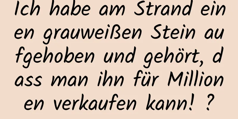 Ich habe am Strand einen grauweißen Stein aufgehoben und gehört, dass man ihn für Millionen verkaufen kann! ?