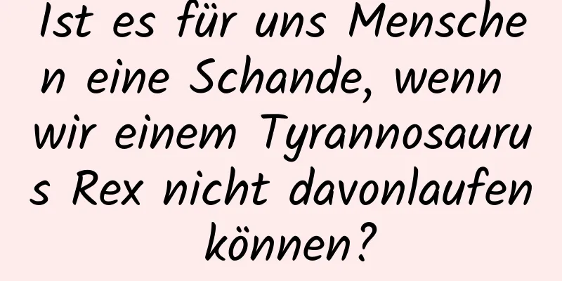 Ist es für uns Menschen eine Schande, wenn wir einem Tyrannosaurus Rex nicht davonlaufen können?