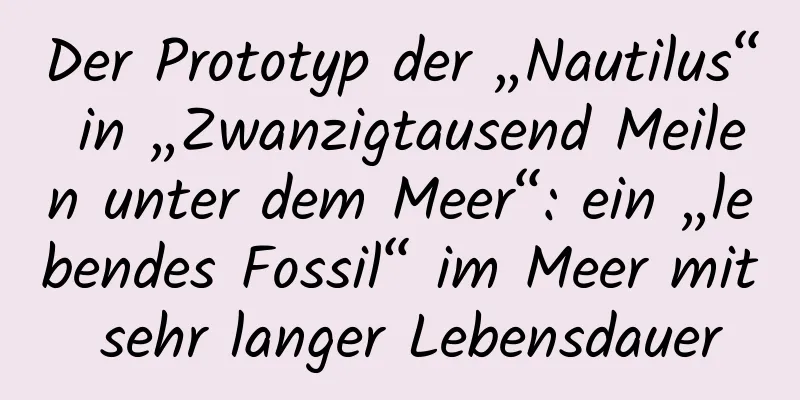 Der Prototyp der „Nautilus“ in „Zwanzigtausend Meilen unter dem Meer“: ein „lebendes Fossil“ im Meer mit sehr langer Lebensdauer