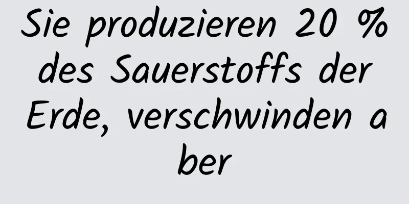 Sie produzieren 20 % des Sauerstoffs der Erde, verschwinden aber
