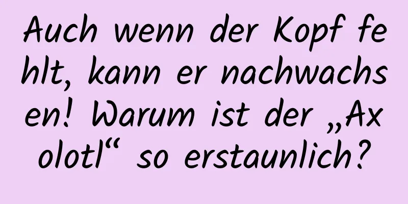 Auch wenn der Kopf fehlt, kann er nachwachsen! Warum ist der „Axolotl“ so erstaunlich?
