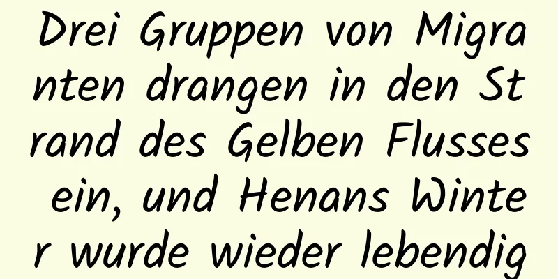 Drei Gruppen von Migranten drangen in den Strand des Gelben Flusses ein, und Henans Winter wurde wieder lebendig