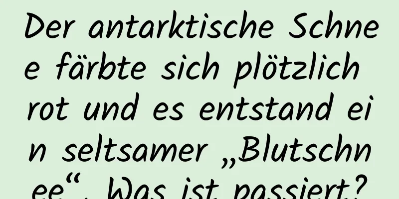 Der antarktische Schnee färbte sich plötzlich rot und es entstand ein seltsamer „Blutschnee“. Was ist passiert?