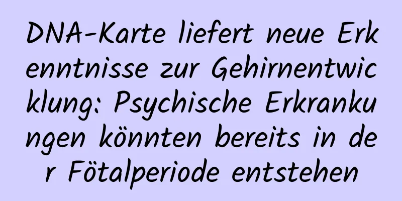 DNA-Karte liefert neue Erkenntnisse zur Gehirnentwicklung: Psychische Erkrankungen könnten bereits in der Fötalperiode entstehen