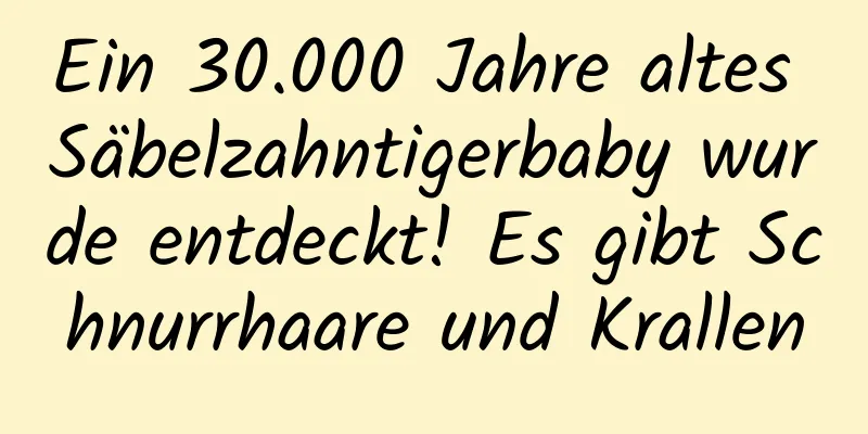 Ein 30.000 Jahre altes Säbelzahntigerbaby wurde entdeckt! Es gibt Schnurrhaare und Krallen