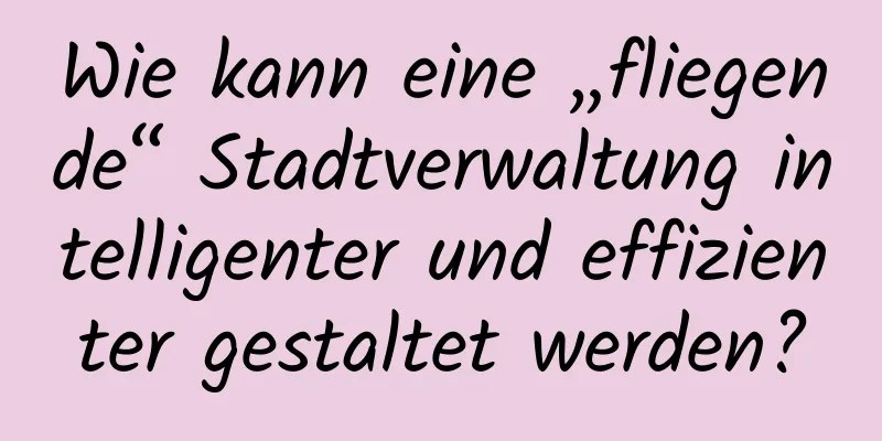 Wie kann eine „fliegende“ Stadtverwaltung intelligenter und effizienter gestaltet werden?