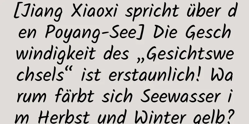 [Jiang Xiaoxi spricht über den Poyang-See] Die Geschwindigkeit des „Gesichtswechsels“ ist erstaunlich! Warum färbt sich Seewasser im Herbst und Winter gelb?