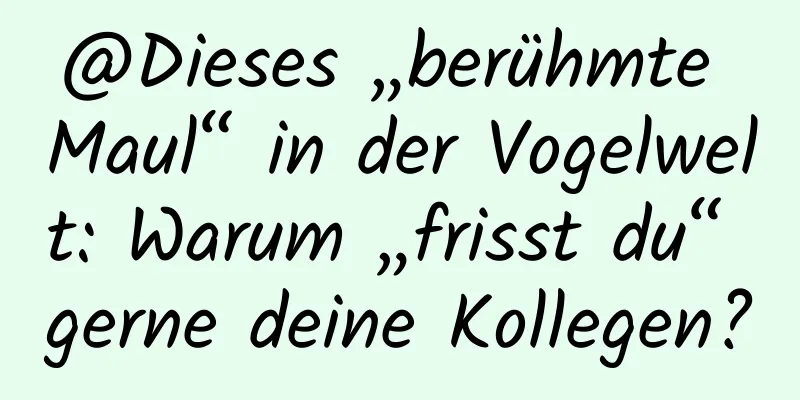 @Dieses „berühmte Maul“ in der Vogelwelt: Warum „frisst du“ gerne deine Kollegen?