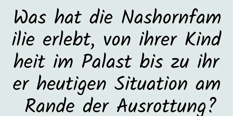 Was hat die Nashornfamilie erlebt, von ihrer Kindheit im Palast bis zu ihrer heutigen Situation am Rande der Ausrottung?