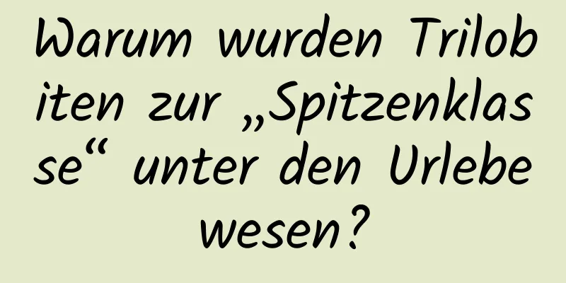 Warum wurden Trilobiten zur „Spitzenklasse“ unter den Urlebewesen?