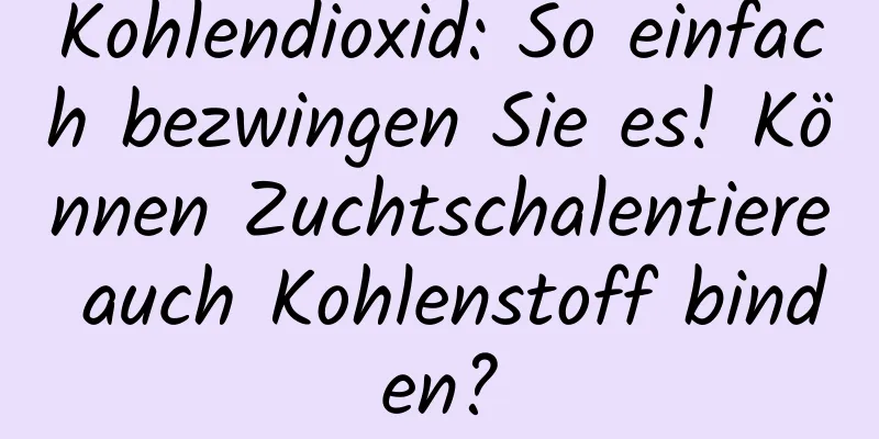 Kohlendioxid: So einfach bezwingen Sie es! Können Zuchtschalentiere auch Kohlenstoff binden?