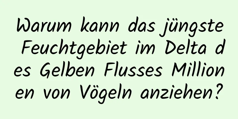 Warum kann das jüngste Feuchtgebiet im Delta des Gelben Flusses Millionen von Vögeln anziehen?