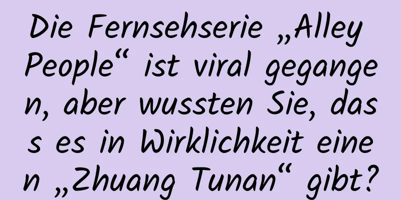 Die Fernsehserie „Alley People“ ist viral gegangen, aber wussten Sie, dass es in Wirklichkeit einen „Zhuang Tunan“ gibt?