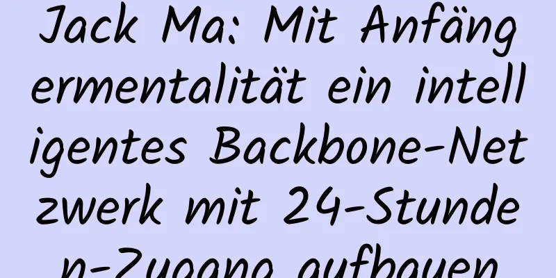 Jack Ma: Mit Anfängermentalität ein intelligentes Backbone-Netzwerk mit 24-Stunden-Zugang aufbauen