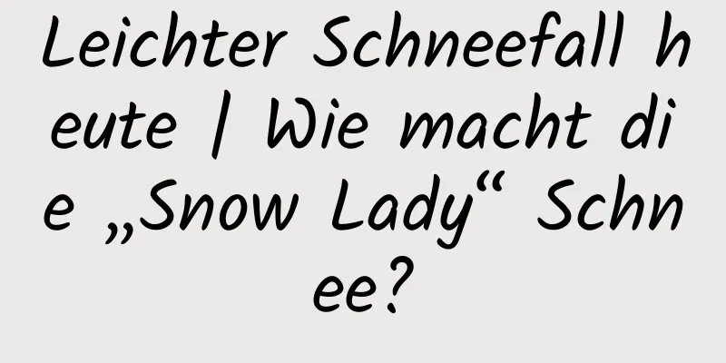 Leichter Schneefall heute | Wie macht die „Snow Lady“ Schnee?