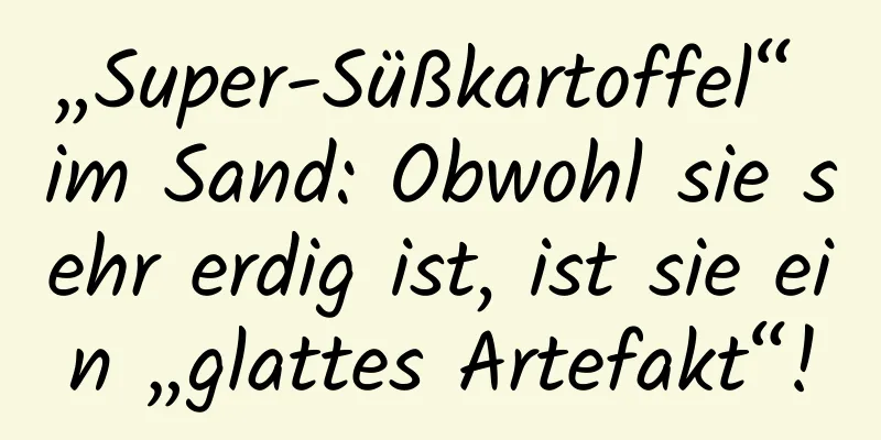 „Super-Süßkartoffel“ im Sand: Obwohl sie sehr erdig ist, ist sie ein „glattes Artefakt“!