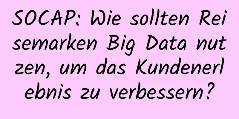 SOCAP: Wie sollten Reisemarken Big Data nutzen, um das Kundenerlebnis zu verbessern?