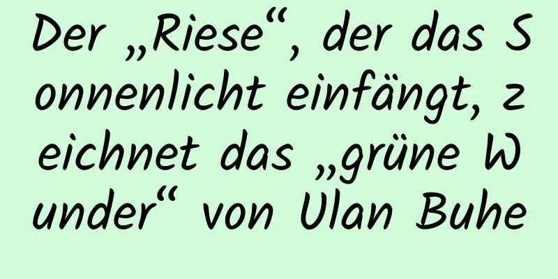 Der „Riese“, der das Sonnenlicht einfängt, zeichnet das „grüne Wunder“ von Ulan Buhe