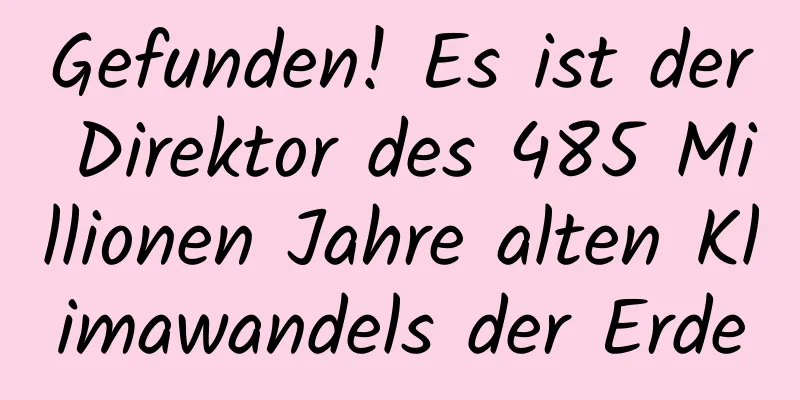 Gefunden! Es ist der Direktor des 485 Millionen Jahre alten Klimawandels der Erde