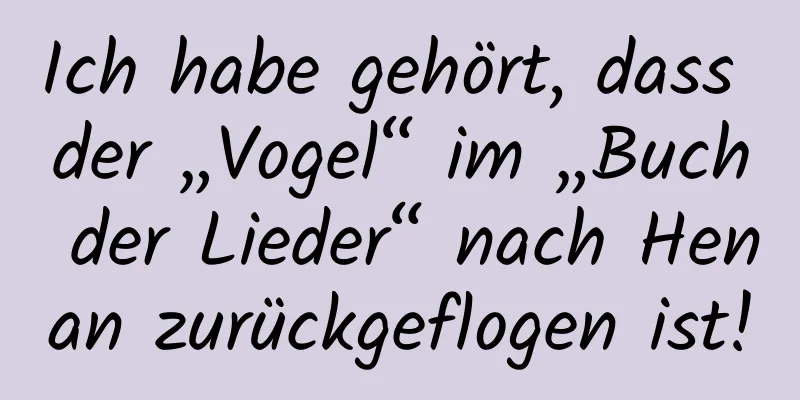 Ich habe gehört, dass der „Vogel“ im „Buch der Lieder“ nach Henan zurückgeflogen ist!