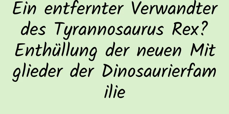 Ein entfernter Verwandter des Tyrannosaurus Rex? Enthüllung der neuen Mitglieder der Dinosaurierfamilie