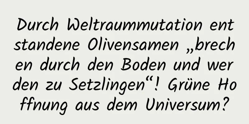 Durch Weltraummutation entstandene Olivensamen „brechen durch den Boden und werden zu Setzlingen“! Grüne Hoffnung aus dem Universum?
