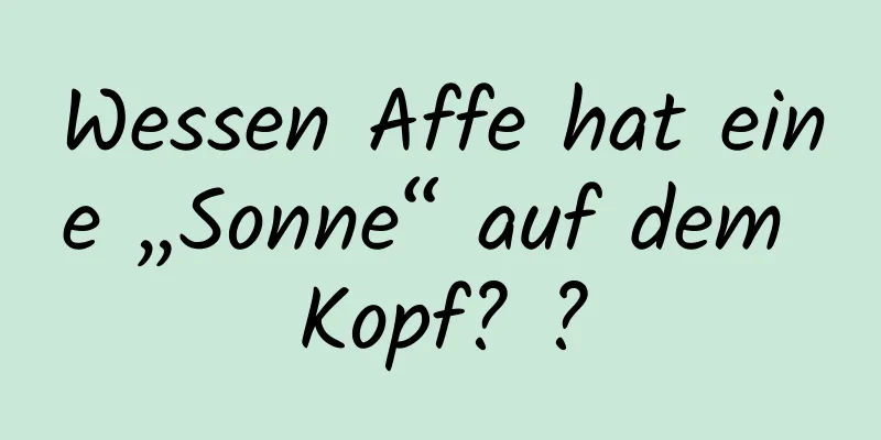 Wessen Affe hat eine „Sonne“ auf dem Kopf? ?
