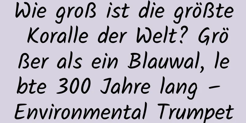 Wie groß ist die größte Koralle der Welt? Größer als ein Blauwal, lebte 300 Jahre lang – Environmental Trumpet