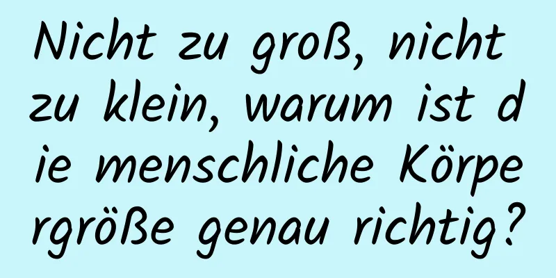 Nicht zu groß, nicht zu klein, warum ist die menschliche Körpergröße genau richtig?