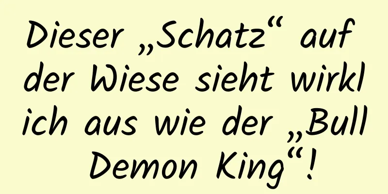 Dieser „Schatz“ auf der Wiese sieht wirklich aus wie der „Bull Demon King“!