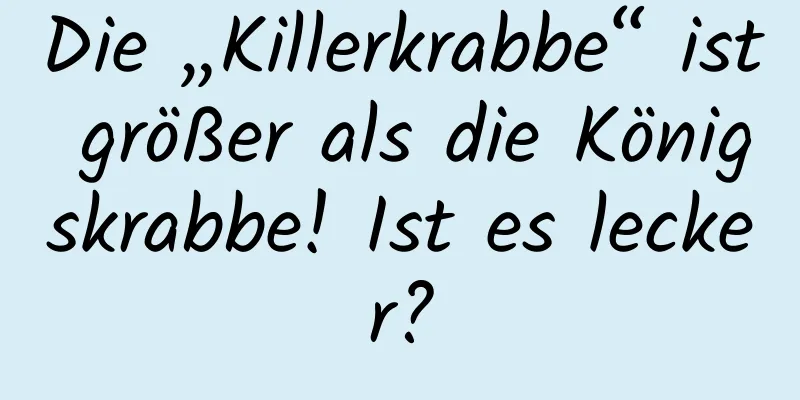 Die „Killerkrabbe“ ist größer als die Königskrabbe! Ist es lecker?