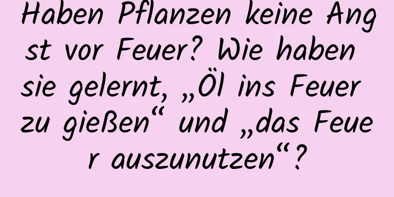 Haben Pflanzen keine Angst vor Feuer? Wie haben sie gelernt, „Öl ins Feuer zu gießen“ und „das Feuer auszunutzen“?