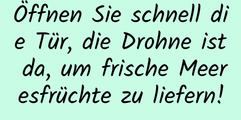Öffnen Sie schnell die Tür, die Drohne ist da, um frische Meeresfrüchte zu liefern!