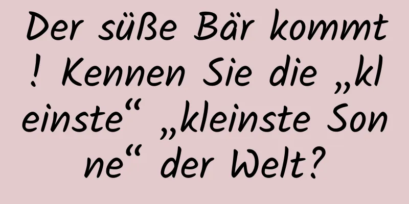 Der süße Bär kommt! Kennen Sie die „kleinste“ „kleinste Sonne“ der Welt?