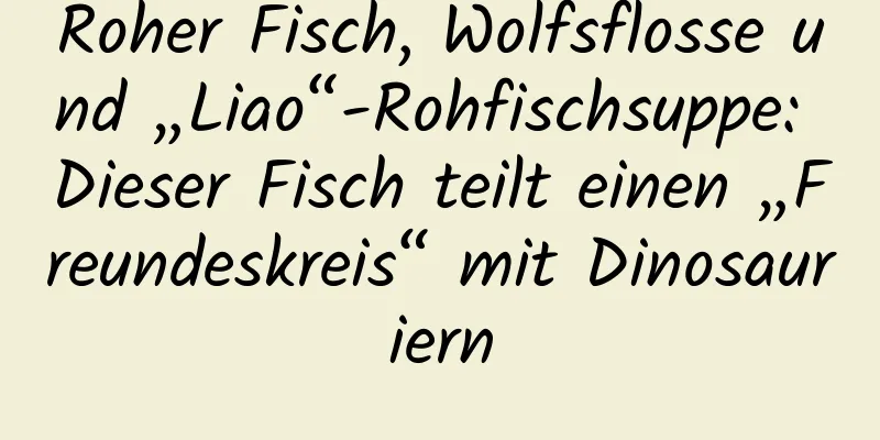 Roher Fisch, Wolfsflosse und „Liao“-Rohfischsuppe: Dieser Fisch teilt einen „Freundeskreis“ mit Dinosauriern