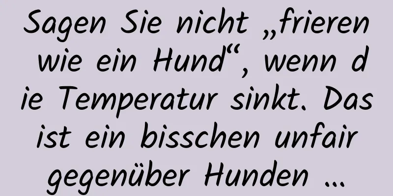 Sagen Sie nicht „frieren wie ein Hund“, wenn die Temperatur sinkt. Das ist ein bisschen unfair gegenüber Hunden …