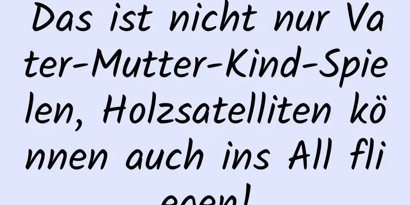 Das ist nicht nur Vater-Mutter-Kind-Spielen, Holzsatelliten können auch ins All fliegen!