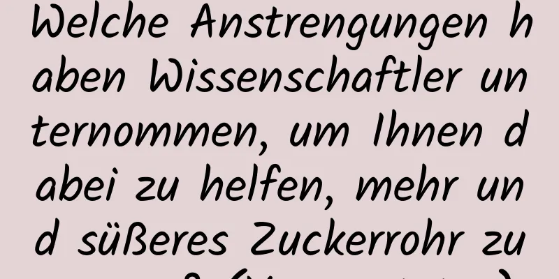 Welche Anstrengungen haben Wissenschaftler unternommen, um Ihnen dabei zu helfen, mehr und süßeres Zuckerrohr zu essen? (Vorgesetzter)