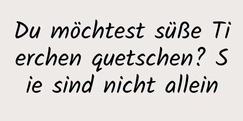 Du möchtest süße Tierchen quetschen? Sie sind nicht allein