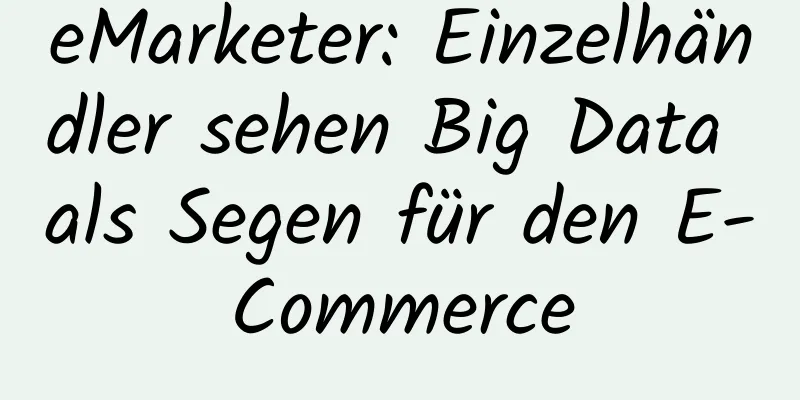 eMarketer: Einzelhändler sehen Big Data als Segen für den E-Commerce