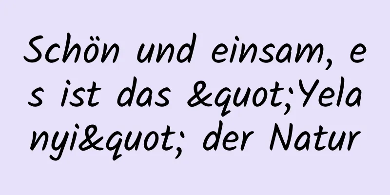 Schön und einsam, es ist das "Yelanyi" der Natur
