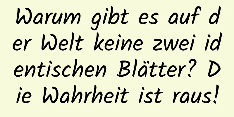 Warum gibt es auf der Welt keine zwei identischen Blätter? Die Wahrheit ist raus!