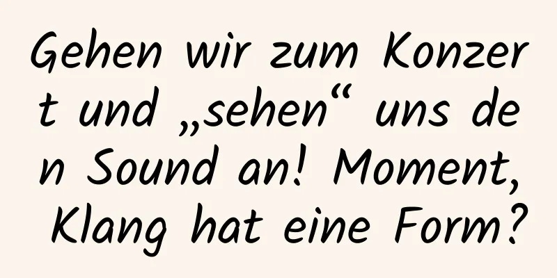 Gehen wir zum Konzert und „sehen“ uns den Sound an! Moment, Klang hat eine Form?