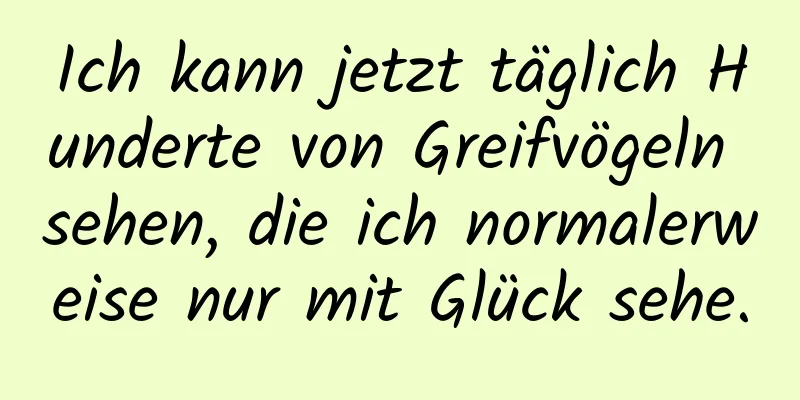 Ich kann jetzt täglich Hunderte von Greifvögeln sehen, die ich normalerweise nur mit Glück sehe.