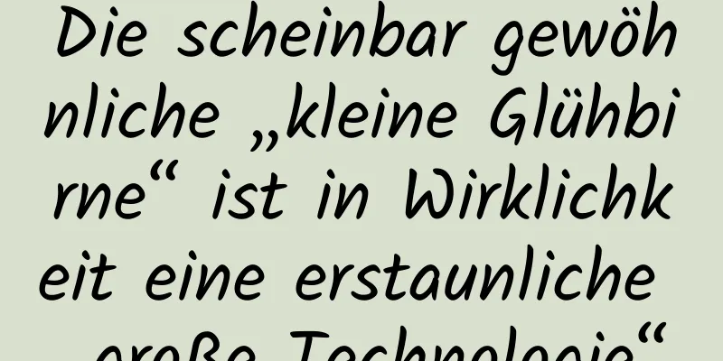 Die scheinbar gewöhnliche „kleine Glühbirne“ ist in Wirklichkeit eine erstaunliche „große Technologie“
