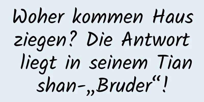 Woher kommen Hausziegen? Die Antwort liegt in seinem Tianshan-„Bruder“!