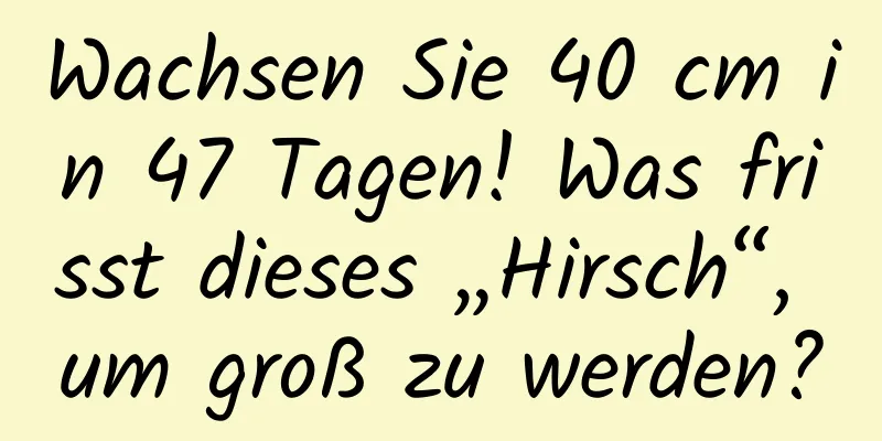 Wachsen Sie 40 cm in 47 Tagen! Was frisst dieses „Hirsch“, um groß zu werden?