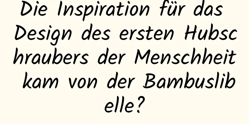 Die Inspiration für das Design des ersten Hubschraubers der Menschheit kam von der Bambuslibelle?