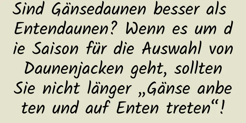 Sind Gänsedaunen besser als Entendaunen? Wenn es um die Saison für die Auswahl von Daunenjacken geht, sollten Sie nicht länger „Gänse anbeten und auf Enten treten“!