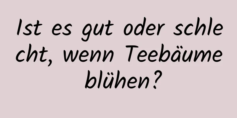 Ist es gut oder schlecht, wenn Teebäume blühen?